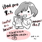月々3000円程でiPad ProとApple Pencilが買える！