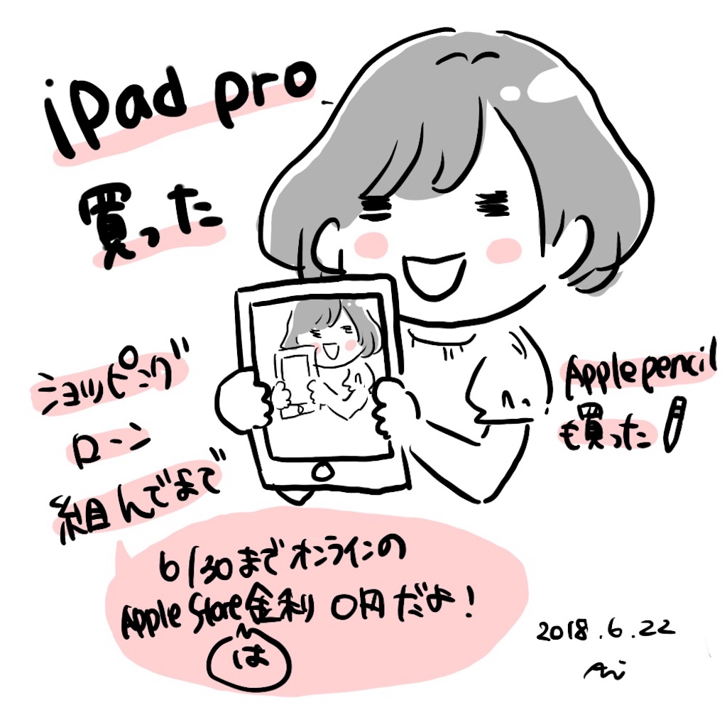 月々3000円程でipad Proとapple Pencilが買える あいのおと